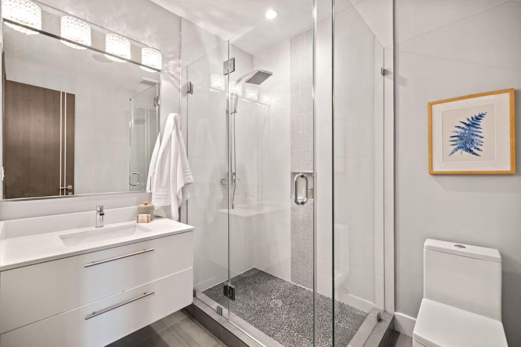Apartment Luxury Dc Penthouse W/ Private Rooftop! Washington